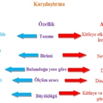 Kütle ve Ağırlık İlişkisi