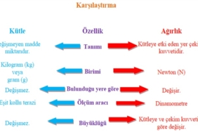Kütle ve Ağırlık İlişkisi