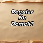 Regular Ne Demek?