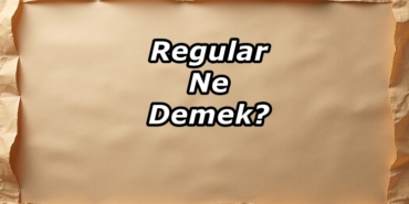 Regular Ne Demek?