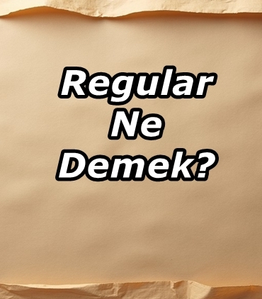 Regular Ne Demek?
