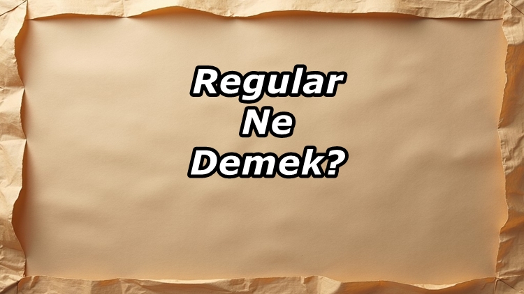 Regular Ne Demek?