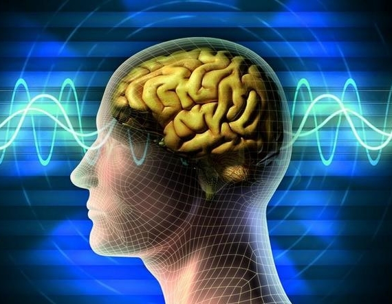 Beynimizin Keşfedilmemiş Köşeleri Nörobilimde Son Gelişmeler