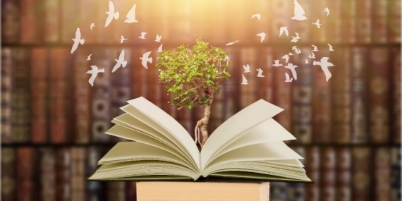 Kitap Forumlarında Okuma Kültürü ve Kitap Paylaşımları